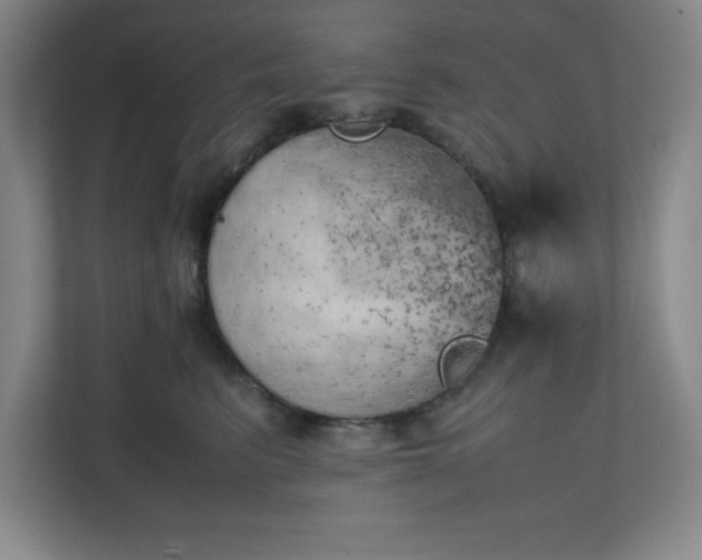 X0000111150615200907071110
