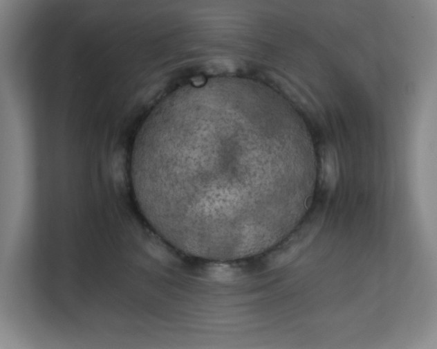 X0000111150616200907071110