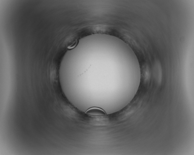 X0000111150619200907071110