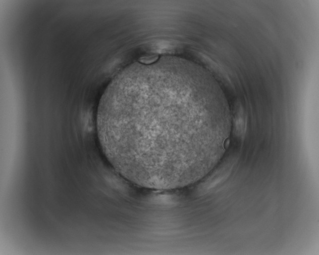 X0000111150620200907071110