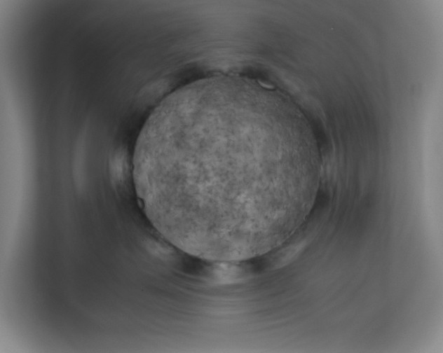 X0000111150623200907071110