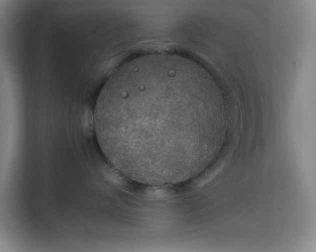 X0000111150624200907071110