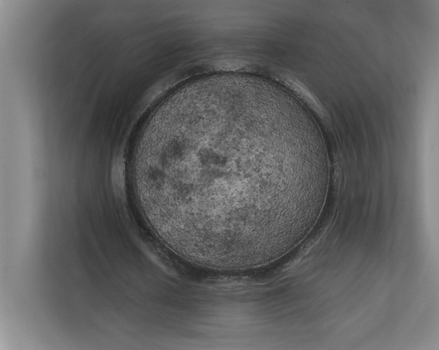 X0000111150626200907071109