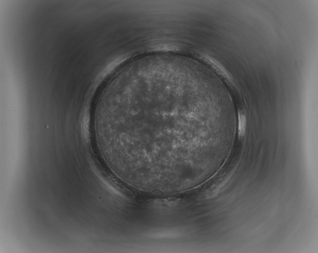 X0000111150627200907071109