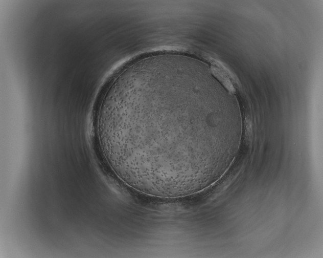 X0000111150628200907071109