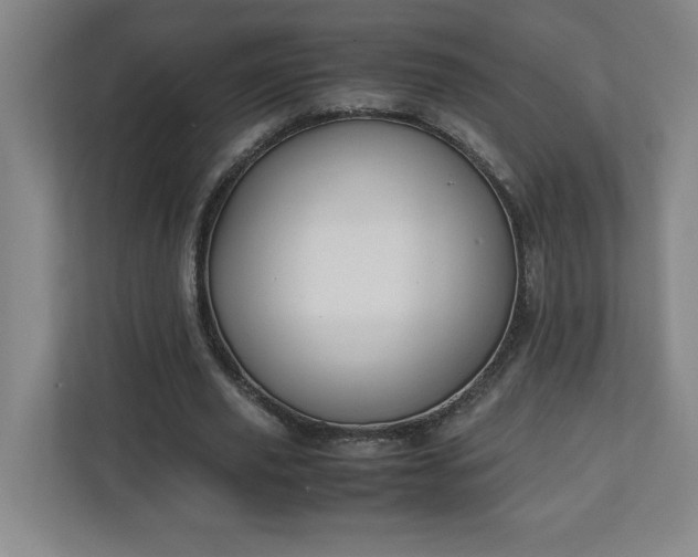 X0000111150629200907071109