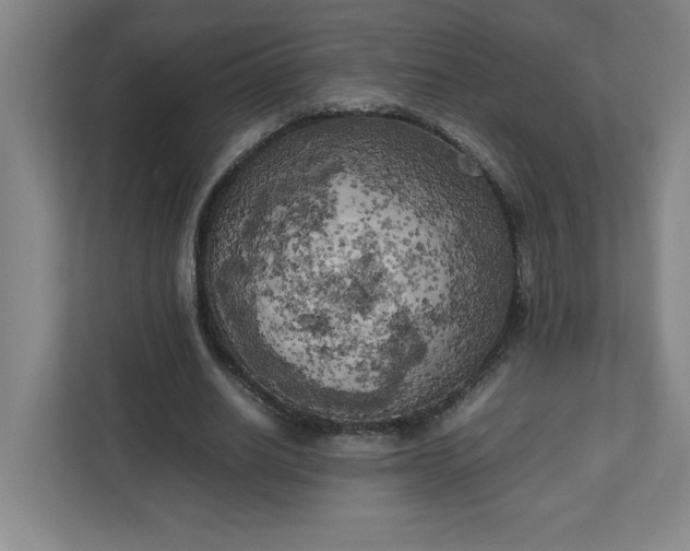 X0000111150630200907071109