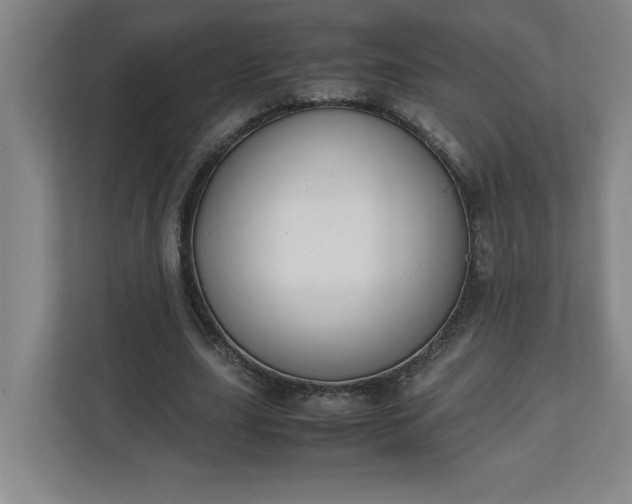 X0000111150631200907071109