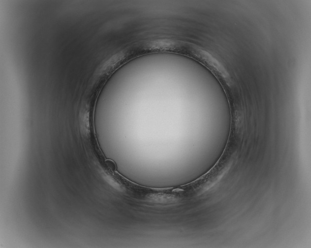 X0000111150633200907071109