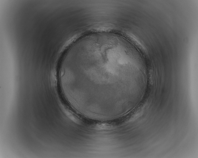 X0000111150634200907071109