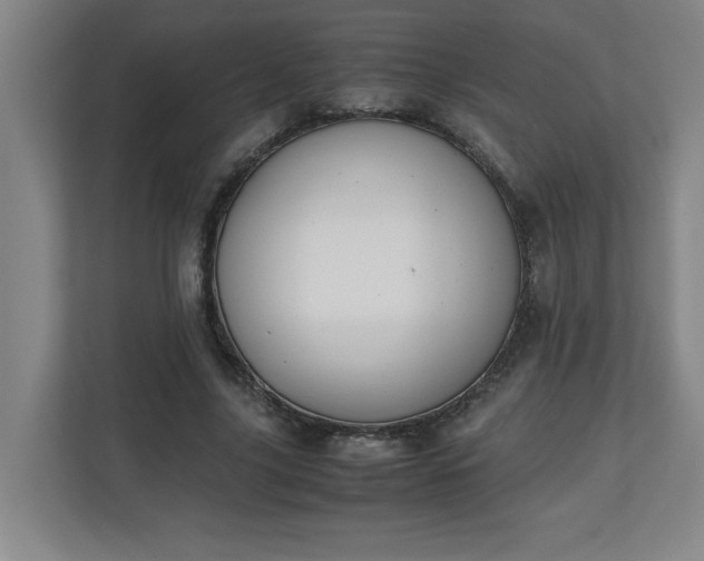 X0000111150635200907071109