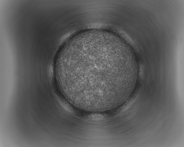 X0000111150636200907071110