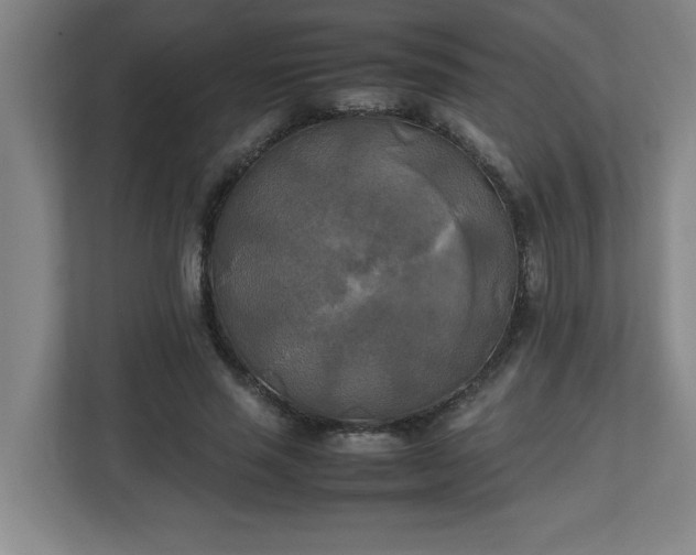 X0000111150637200907071110