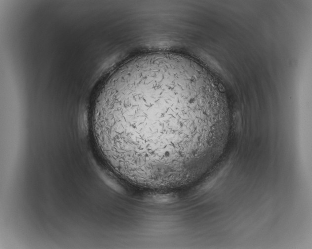 X0000111150638200907071110