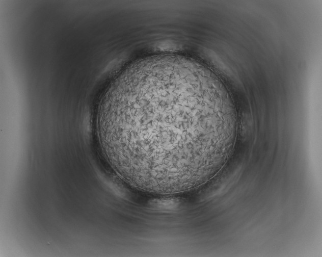 X0000111150639200907071110