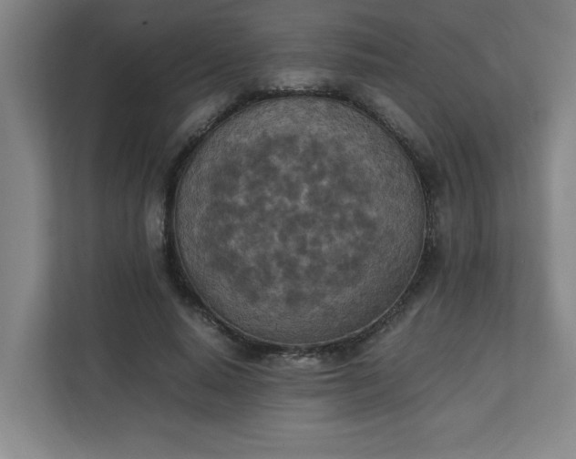 X0000111150640200907071110