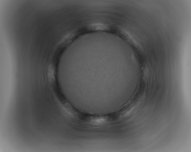 X0000111150643200907071110