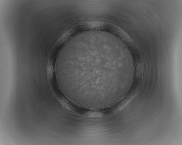 X0000111150644200907071110