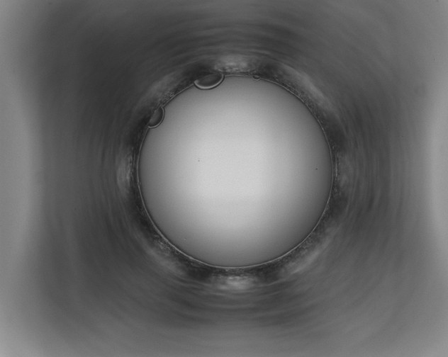 X0000111150645200907071110