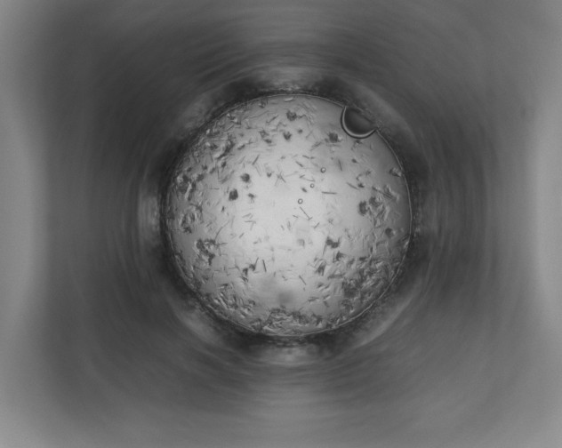 X0000111150646200907071110