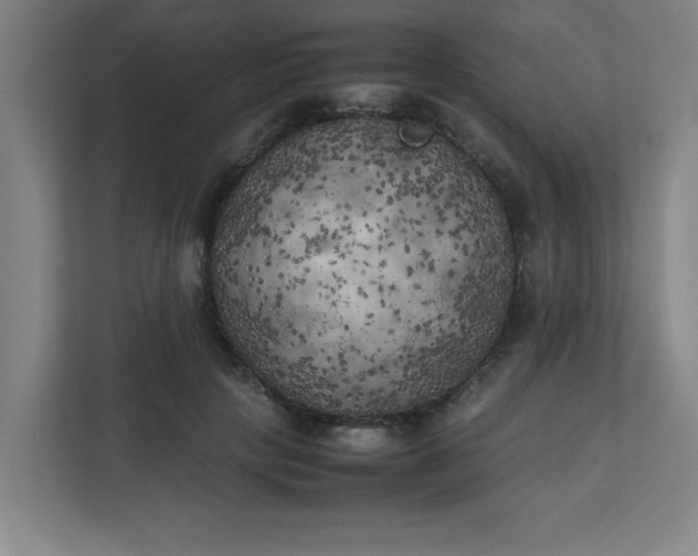 X0000111150649200907071110