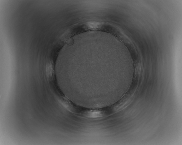 X0000111150651200907071110
