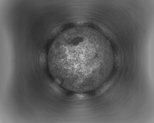 X0000111150654200907071110