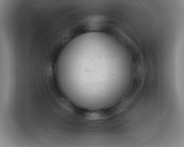 X0000111150655200907071110