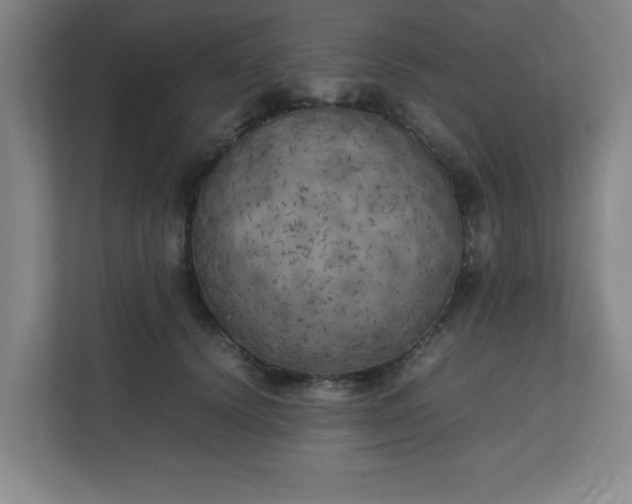 X0000111150656200907071110