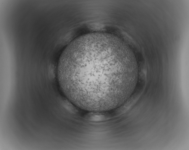 X0000111150658200907071110