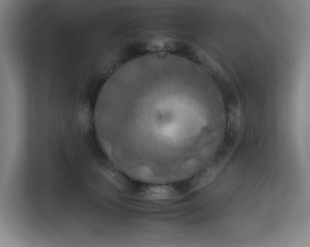 X0000111150659200907071110