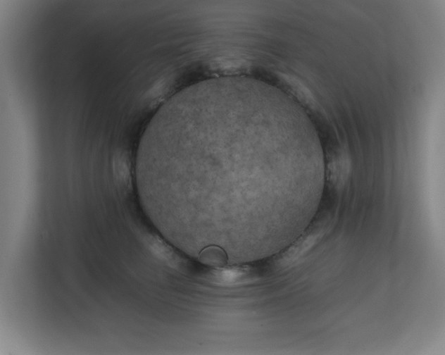X0000111150662200907071110
