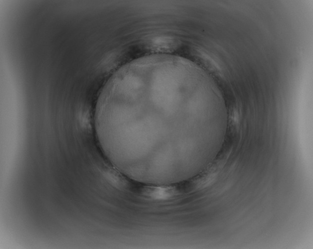 X0000111150663200907071110
