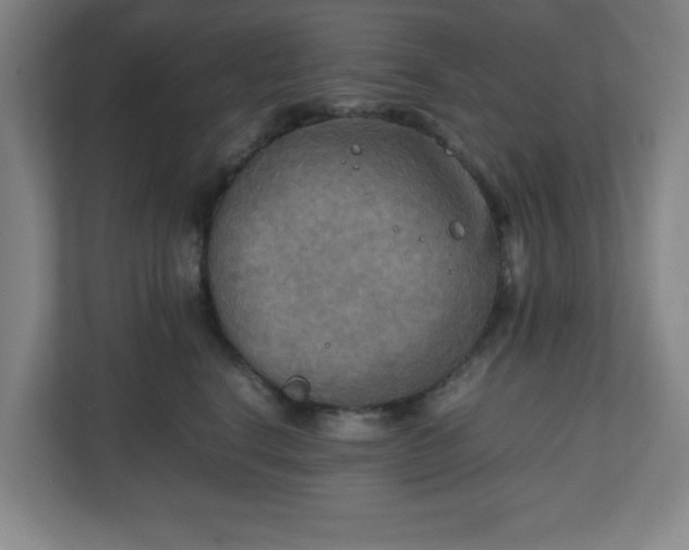 X0000111150664200907071110