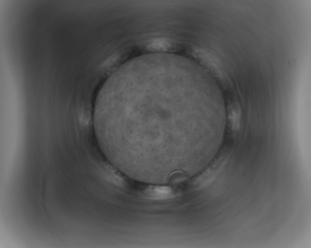 X0000111150665200907071110
