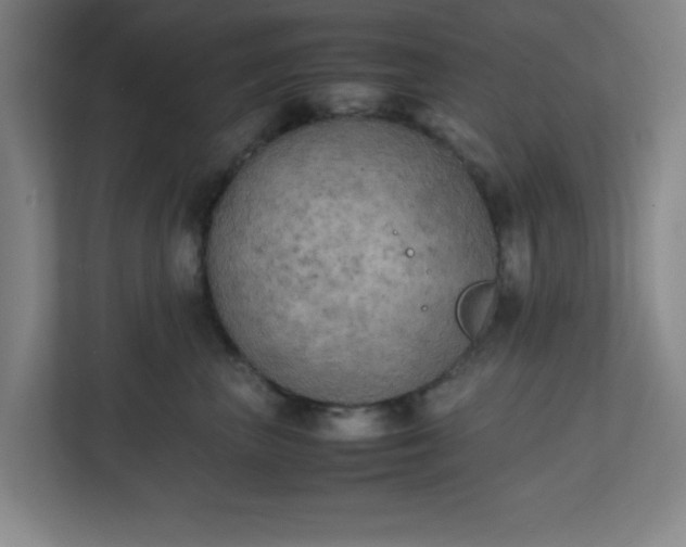 X0000111150667200907071110