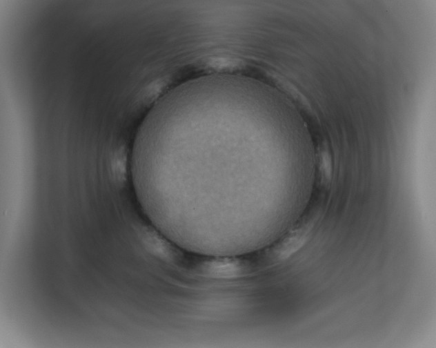 X0000111150668200907071110