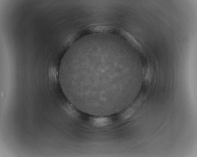 X0000111150669200907071110