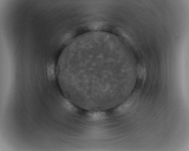 X0000111150670200907071110