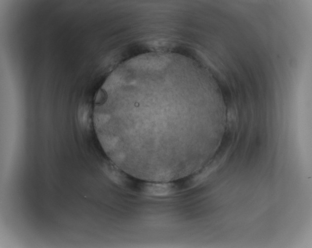 X0000111150671200907071110