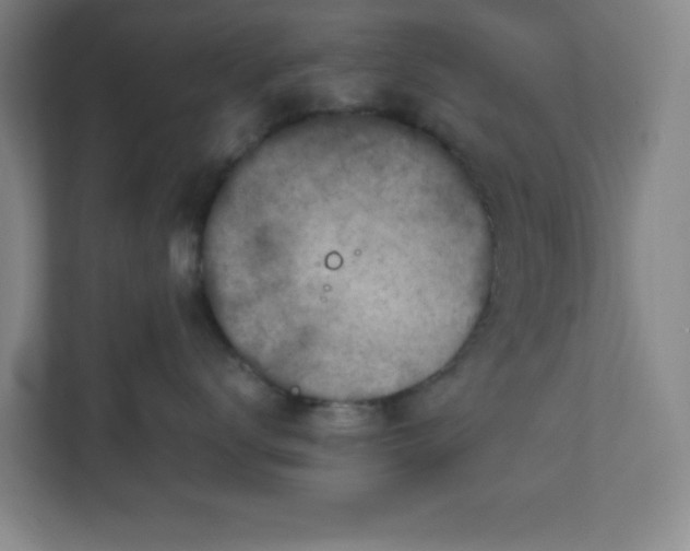 X0000111150672200907071110