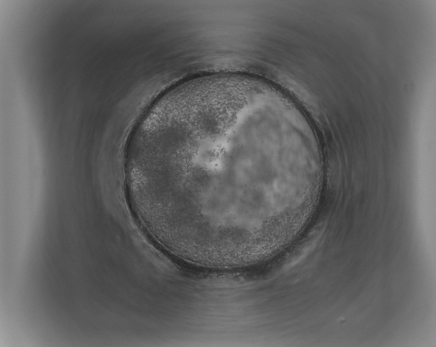 X0000111150673200907071109