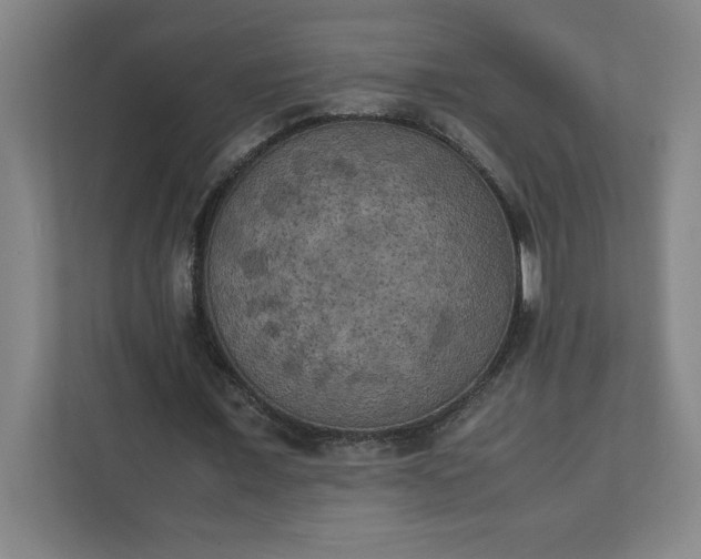X0000111150675200907071109