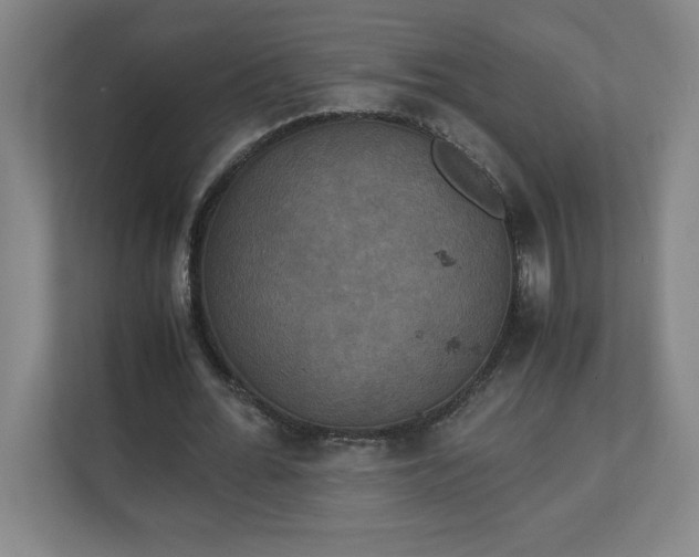 X0000111150676200907071109