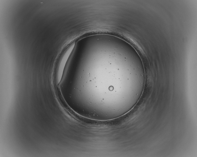 X0000111150677200907071109