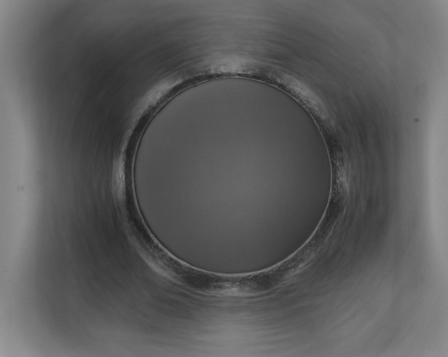 X0000111150678200907071109