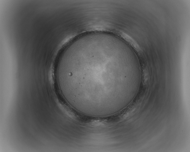 X0000111150680200907071109