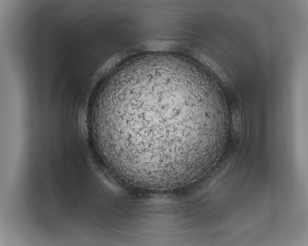 X0000111150682200907071109