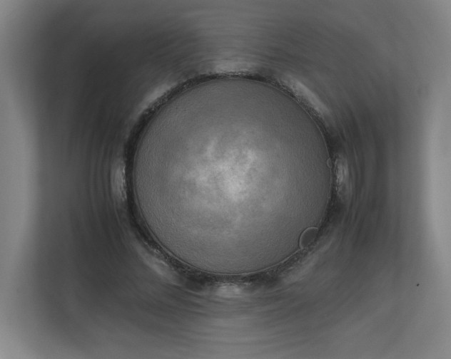 X0000111150684200907071109