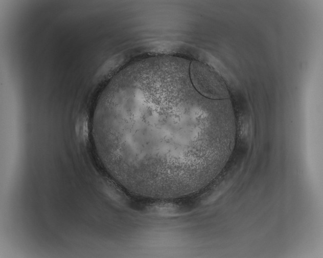 X0000111150685200907071109